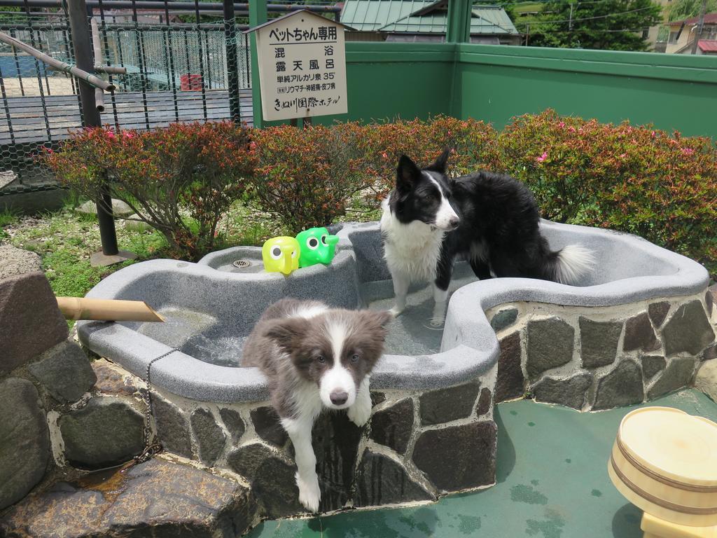 ניקו Kinugawa Kokusai Hotel מראה חיצוני תמונה